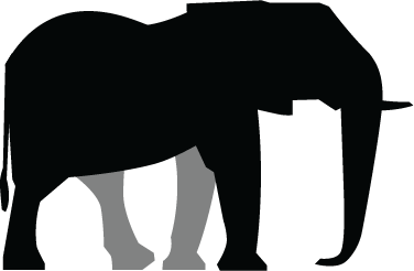 African elephant