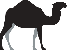 Dromedary camel