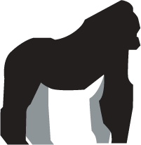 Western lowland gorilla